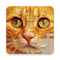 Unlimited puzzles游戏