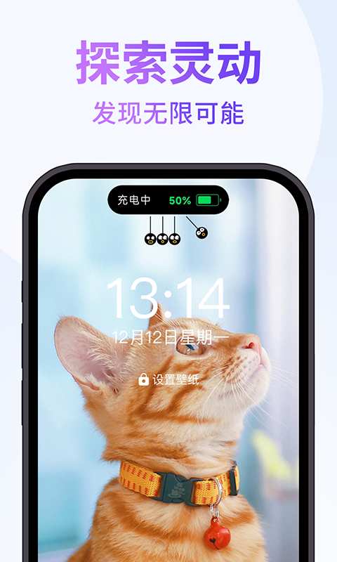 图1