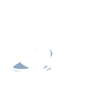 八鸽乐章游戏