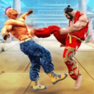 新街霸终极功夫（New Street Fighter - Ultimate Kung-Fu Fighting）