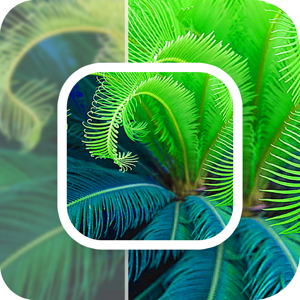 数创模糊照片修复app