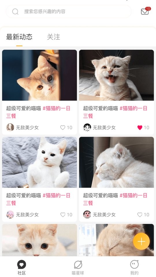 云养猫官网版
