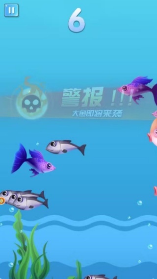 疯狂鱼宴大吃特吃游戏
