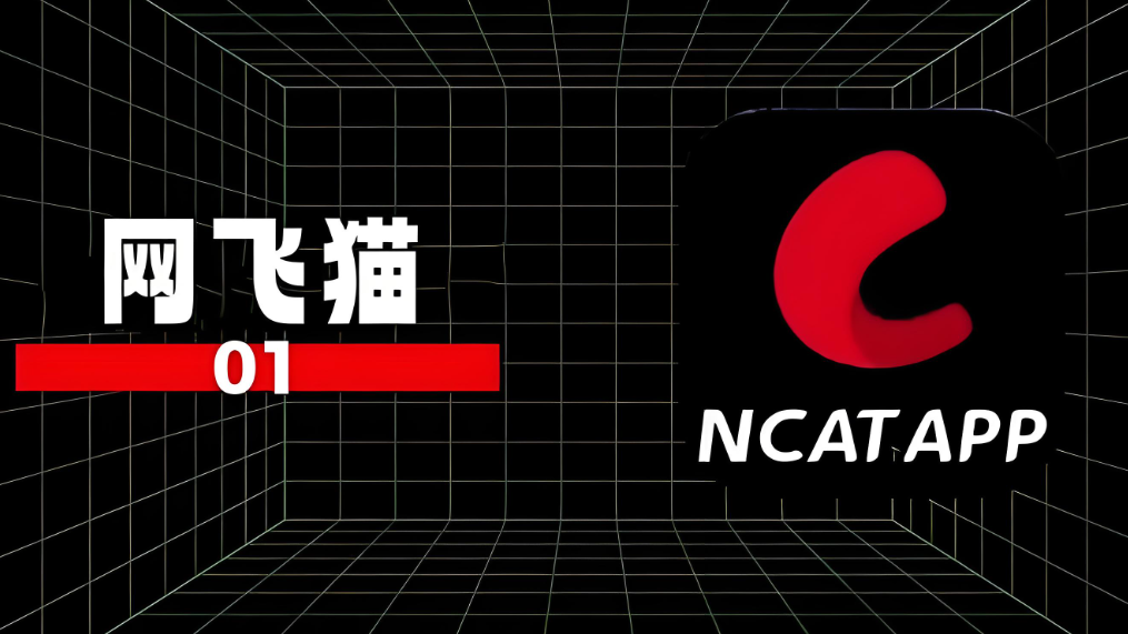 网飞猫历史版本大全