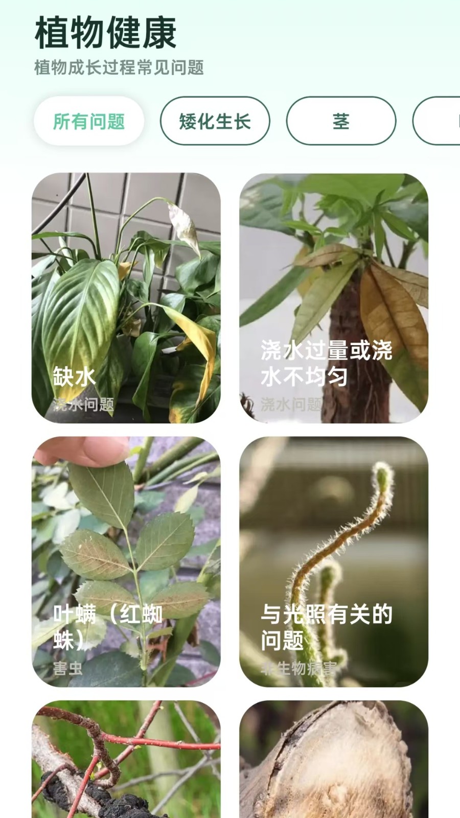爱馨花园软件