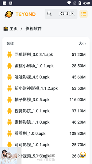 图4