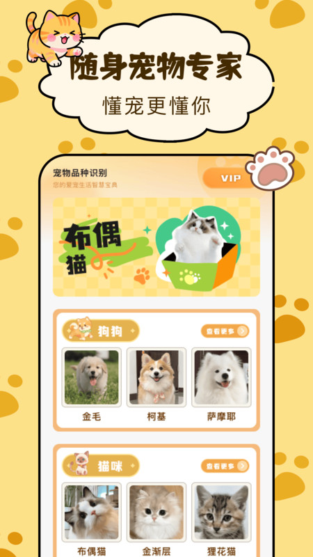 图4