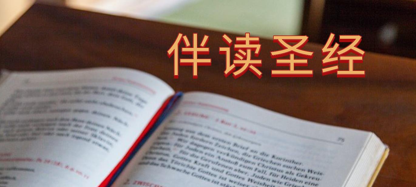 伴读圣经版本合集