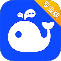 WorkPlus SE官网版