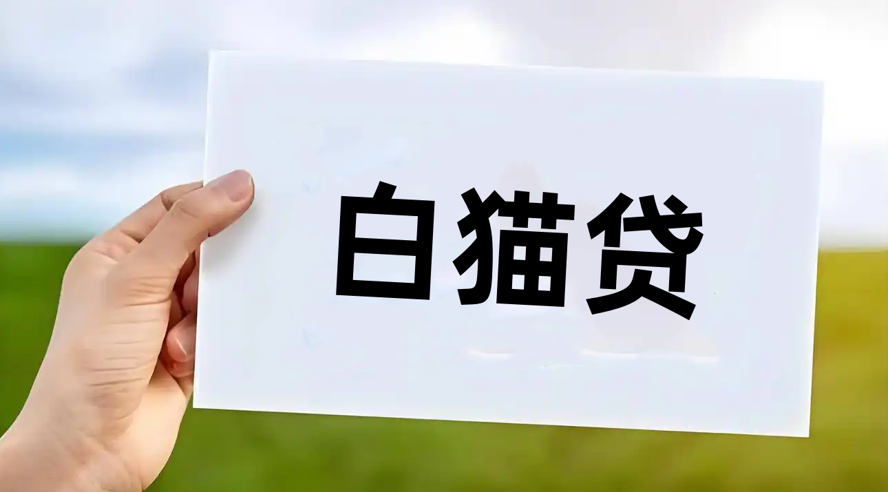 白猫贷版本大全