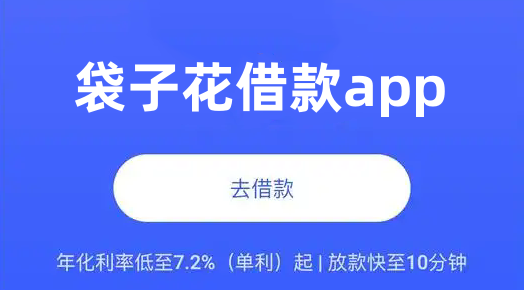 袋子花借款app