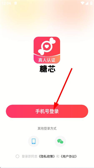 糖芯