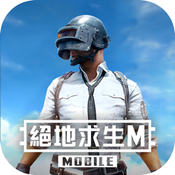pubg国际服
