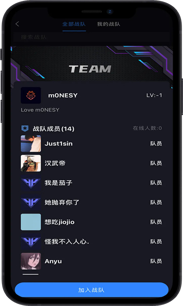 R0对战平台图3