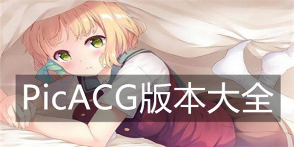 picacg全部版本大全