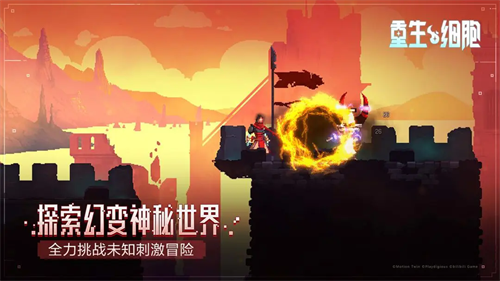 图4