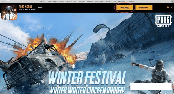 pubg国际服