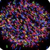 炫彩烟火燃放图游戏