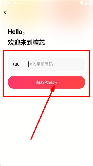糖芯
