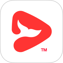 锦书app
