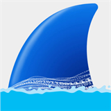 wireshark安卓版