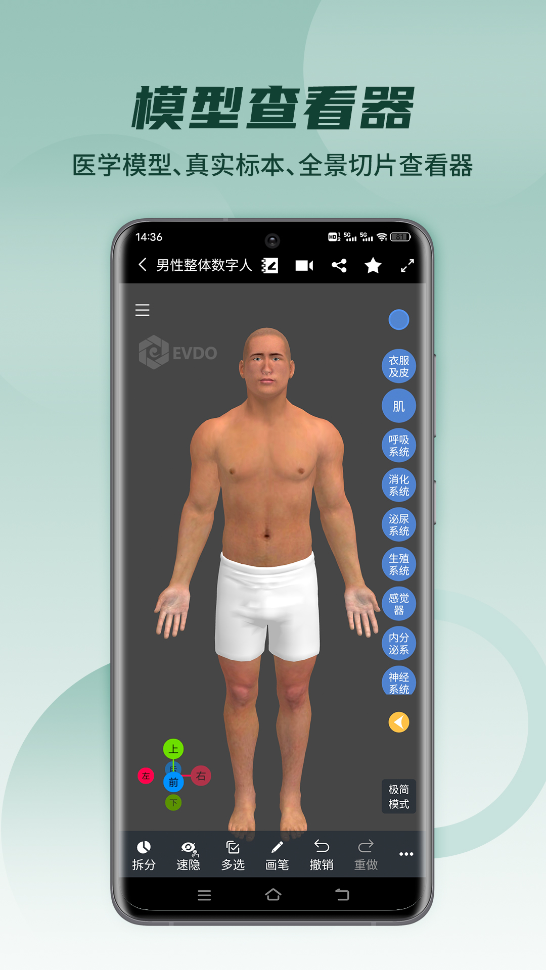 图1