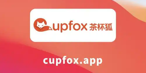 茶杯狐
