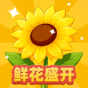 菊花播放器app
