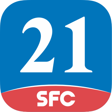 21财经软件