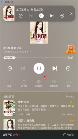 疯读小说