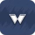 walp pro软件