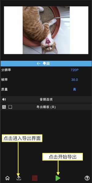 nv专业版