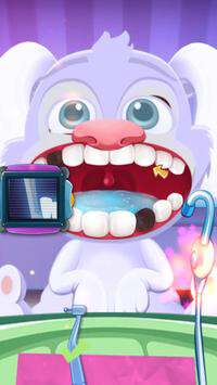 Pet Dentist Doctor