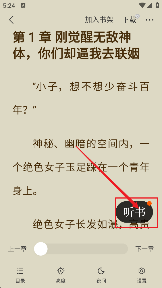 茶梅小说