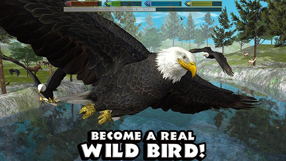 UltBirdSim游戏