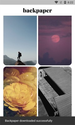 Backpaper软件