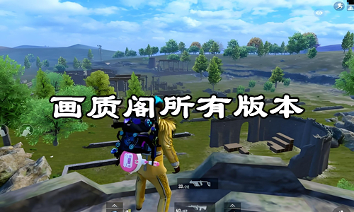 画质阁所有版本