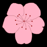 桃花视频免费版