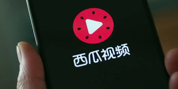 西瓜视频版本历史
