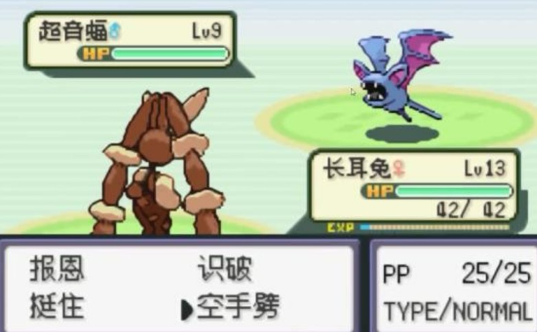 口袋妖怪火箭队汉化版