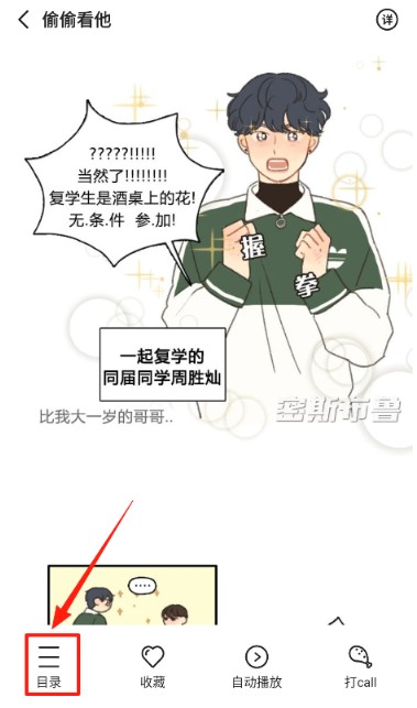 密斯布鲁