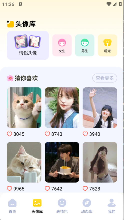 无颜之月app