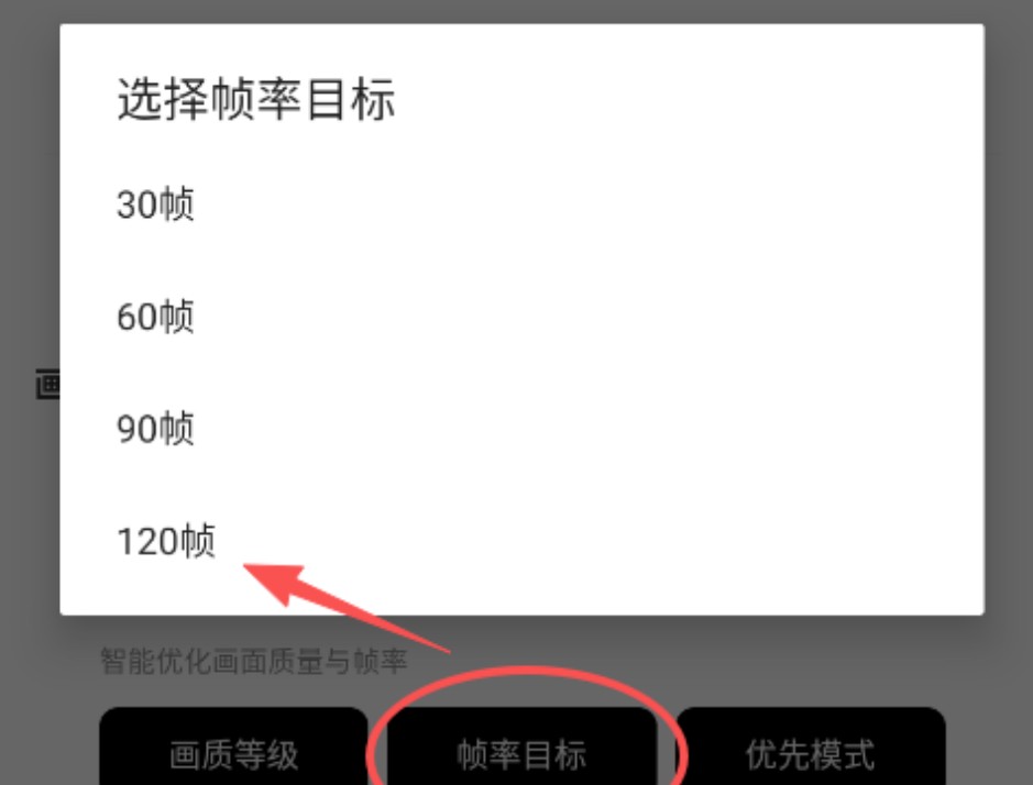 秘阁画质助手