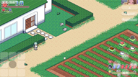 寻找夏日的宝物汉化版