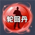 轮回丹新版本