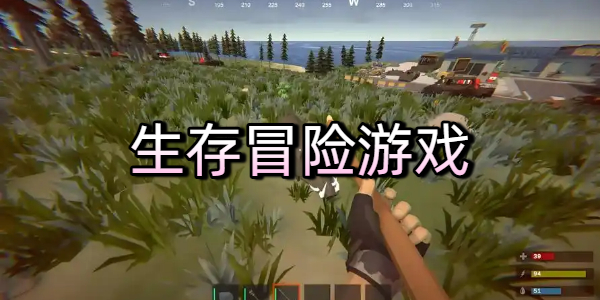 生存冒险游戏