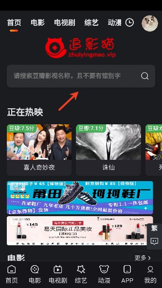 追影猫2026最新版