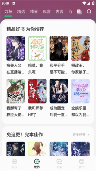 不可能的世界小说