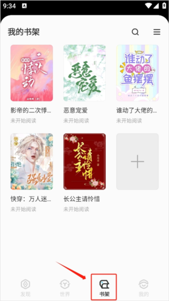 不可能的世界小说