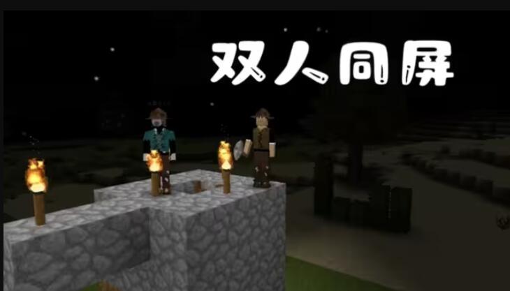 图1